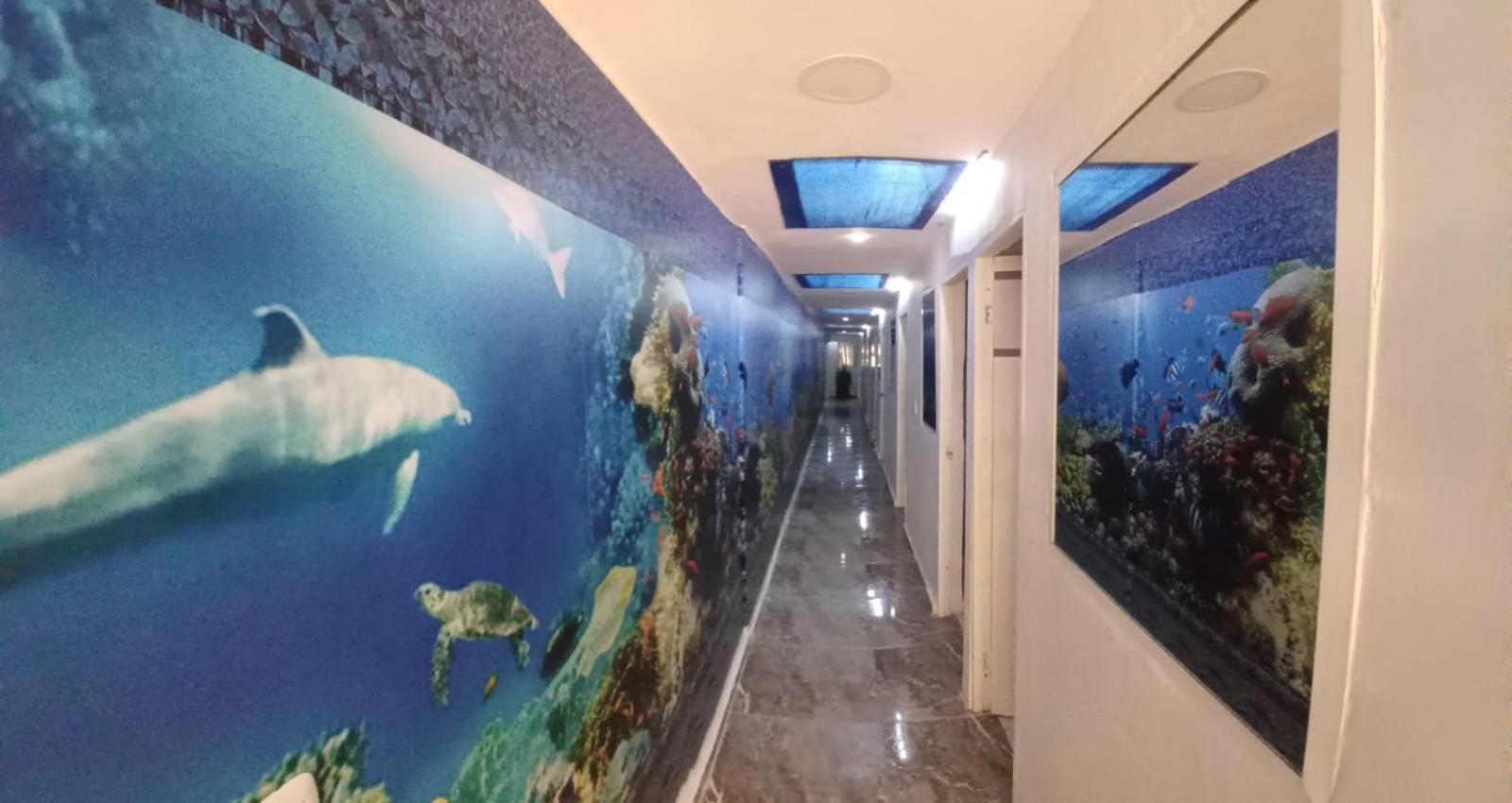 Cartagena Hotel Dmauro מראה חיצוני תמונה