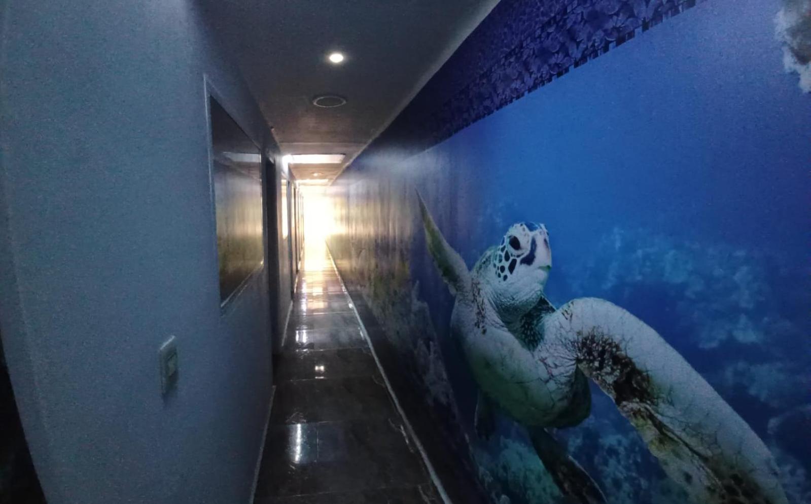 Cartagena Hotel Dmauro מראה חיצוני תמונה